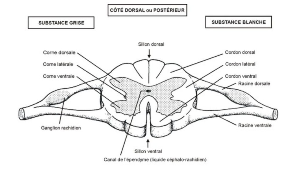 Capture d’écran 2020-10-16 à 15.35.26.png
