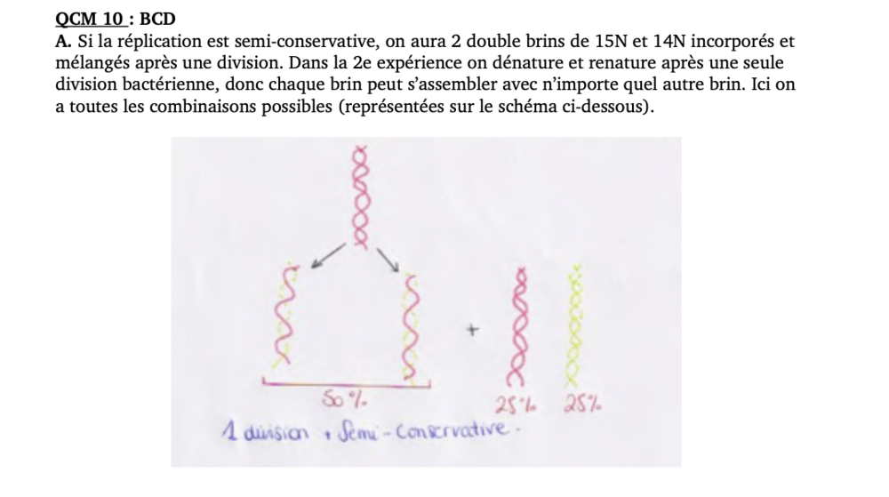 Capture d’écran 2020-10-30 à 12.42.16.png
