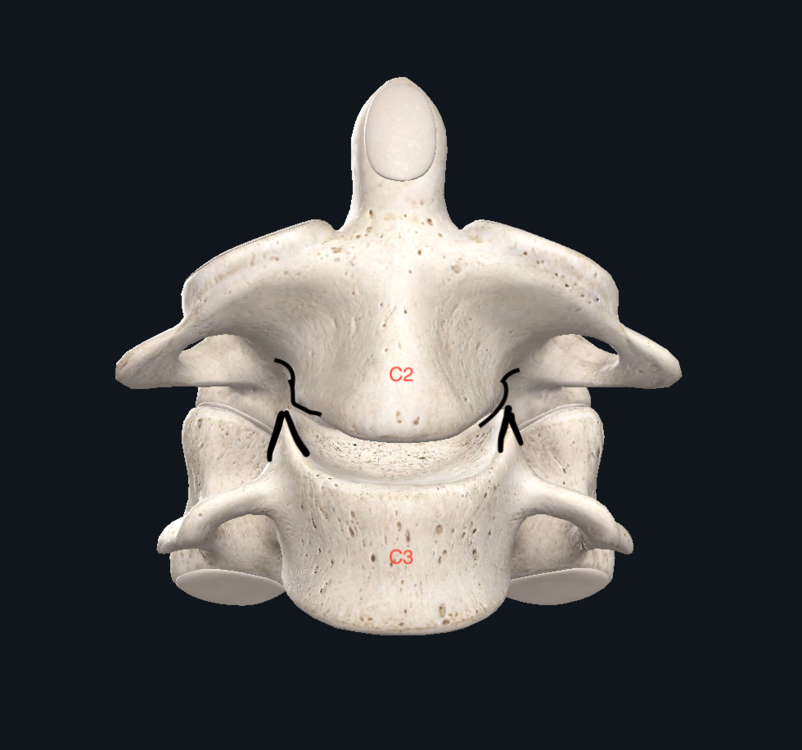 Capture d’écran 2020-10-11 à 16.21.39.png