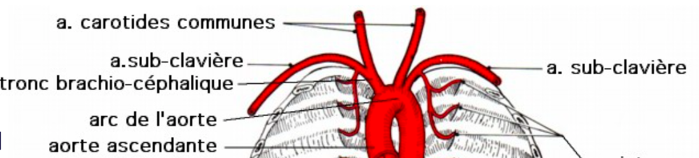 Capture d’écran 2020-10-14 à 14.40.02.png