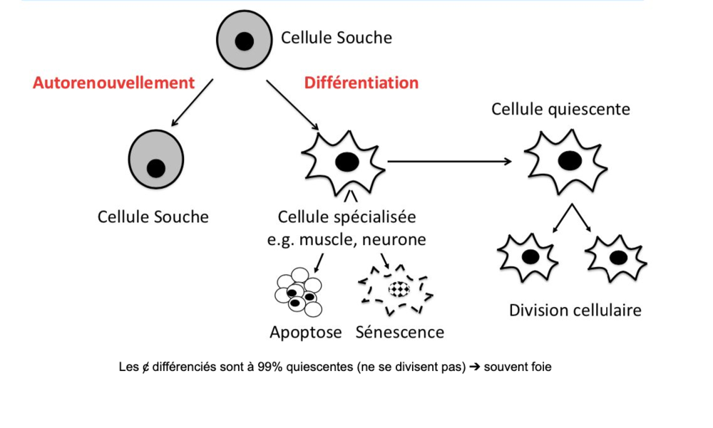 Capture d’écran 2020-10-03 à 11.55.07.png