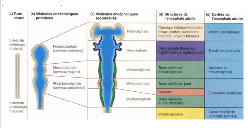 Capture d’écran 2020-10-16 à 15.46.42.png