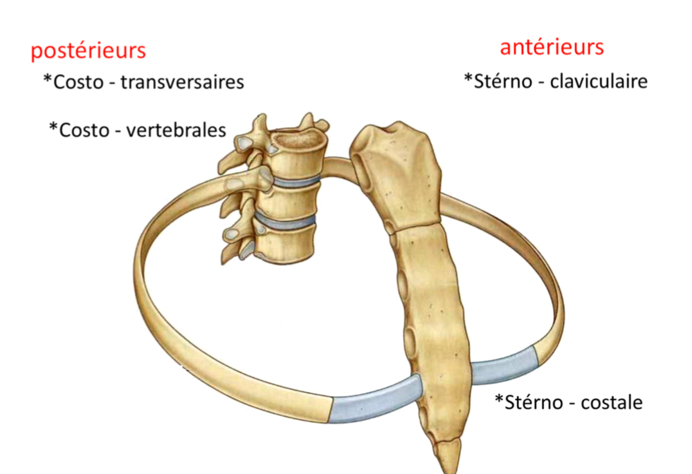 Capture d’écran 2020-10-17 à 19.14.02.png