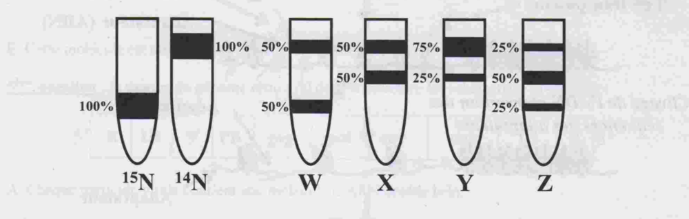 Capture d’écran 2020-10-30 à 19.11.22.png