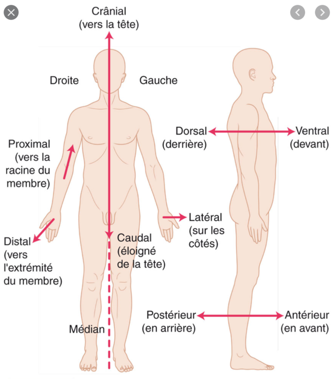 Capture d’écran 2020-11-17 à 21.27.31.png