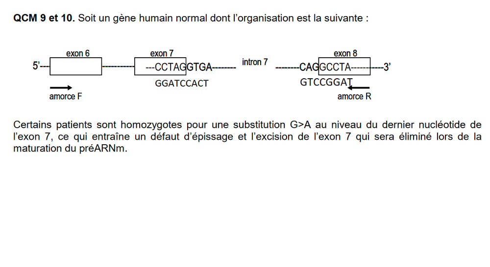 QCM 9 10 énoncé.png