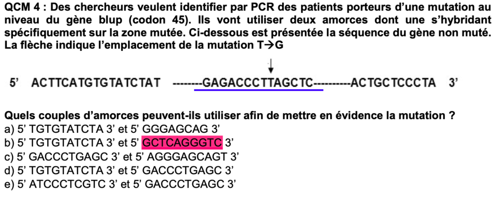 Capture d’écran 2020-11-21 à 17.20.13.png