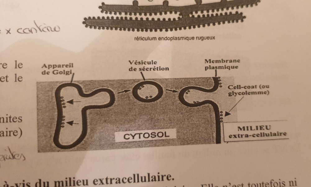 Capture d’écran (132).png