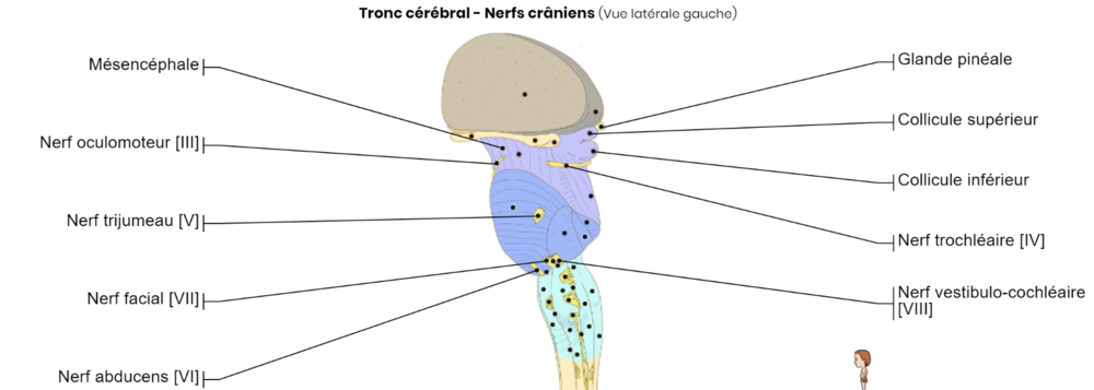 Capture d’écran 2020-11-04 083029.png