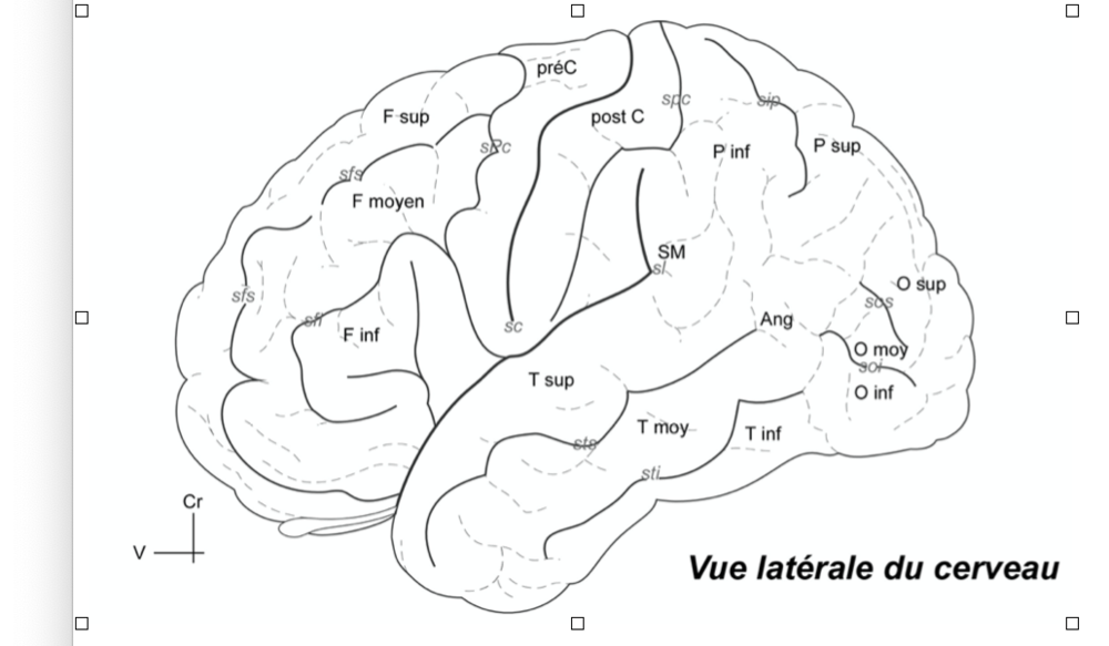 Capture d’écran 2020-11-10 à 20.07.24.png