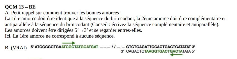 Capture d’écran 2020-11-24 155521.png