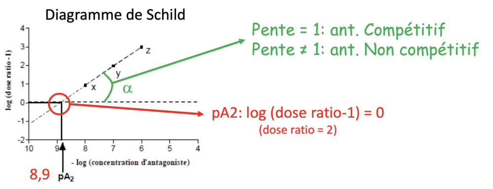 Capture d’écran 2020-12-06 à 10.57.16 AM.png