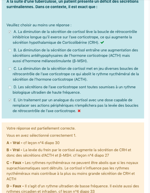 Capture d’écran 2020-12-01 à 16.16.46.png