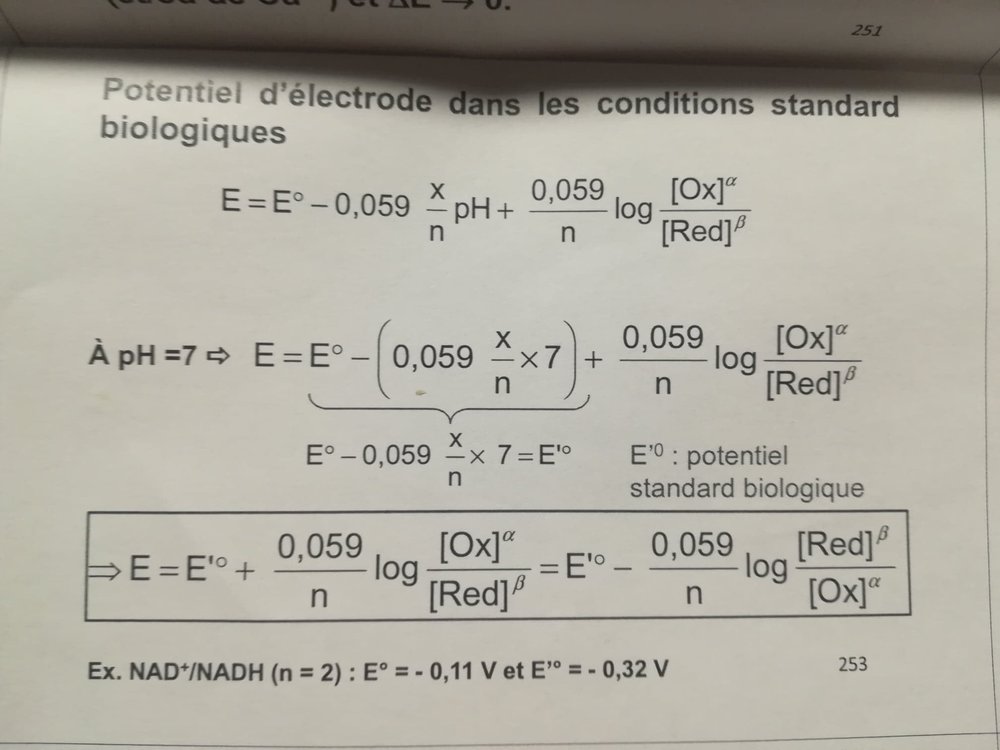 130190337_884155005658448_5391654142683088306_n.jpg