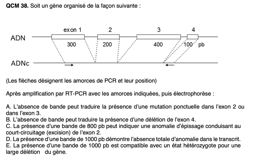 Capture d’écran 2020-12-07 à 6.47.28 PM.png