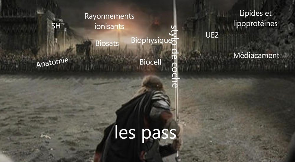 Les pass.jpg