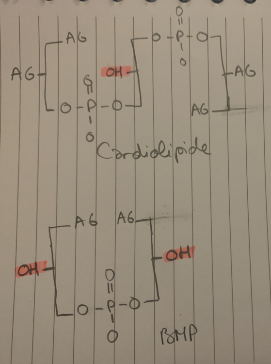 Capture d’écran 2020-12-20 à 18.48.04.png