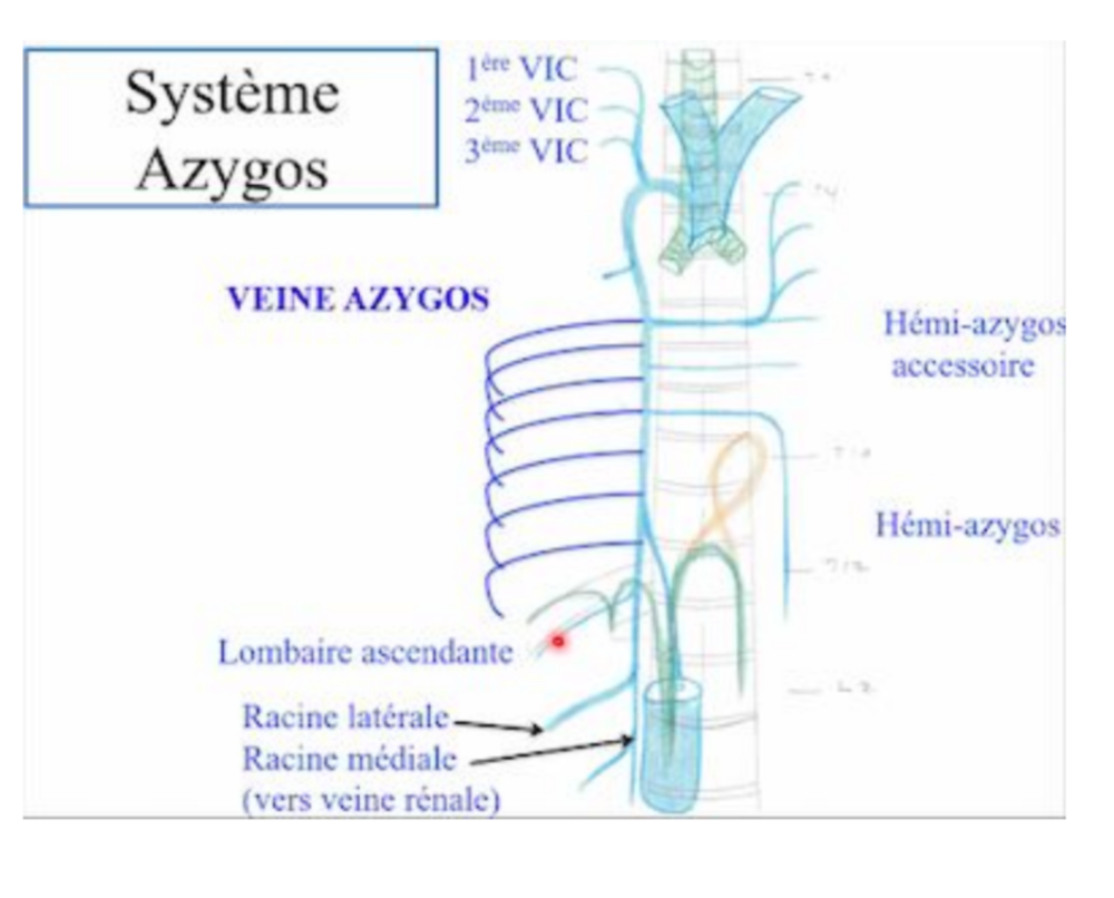 Capture d’écran 2020-12-08 à 14.19.34.png