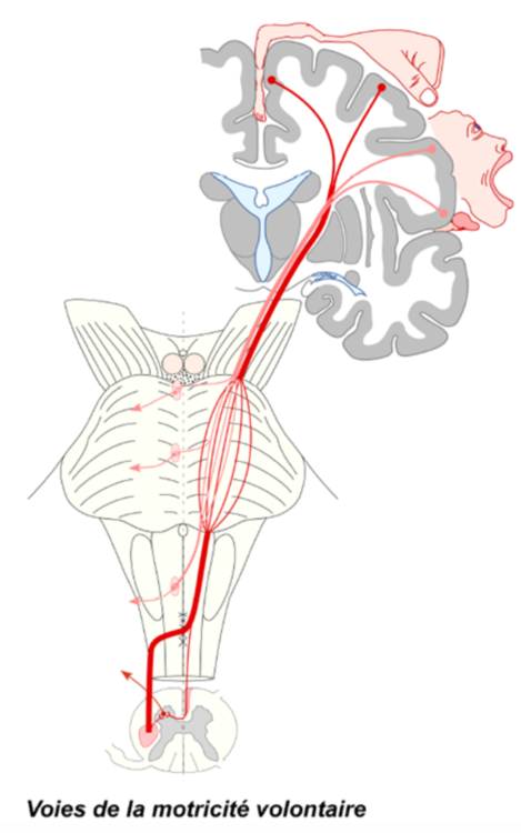 Capture d’écran 2020-12-07 à 23.36.02.png