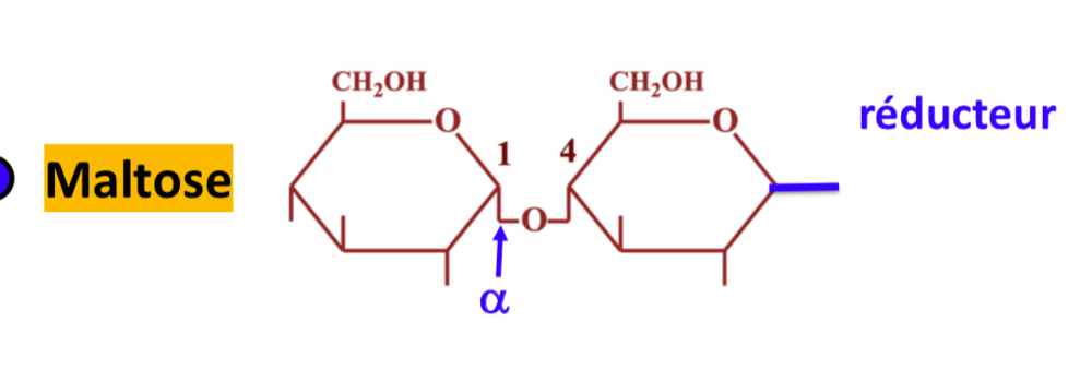 maltose réducteur liaison alpha 1 -> alpha ou beta 4.png