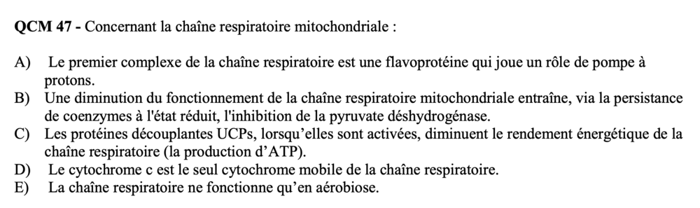 Capture d’écran 2020-12-05 à 08.52.46.png