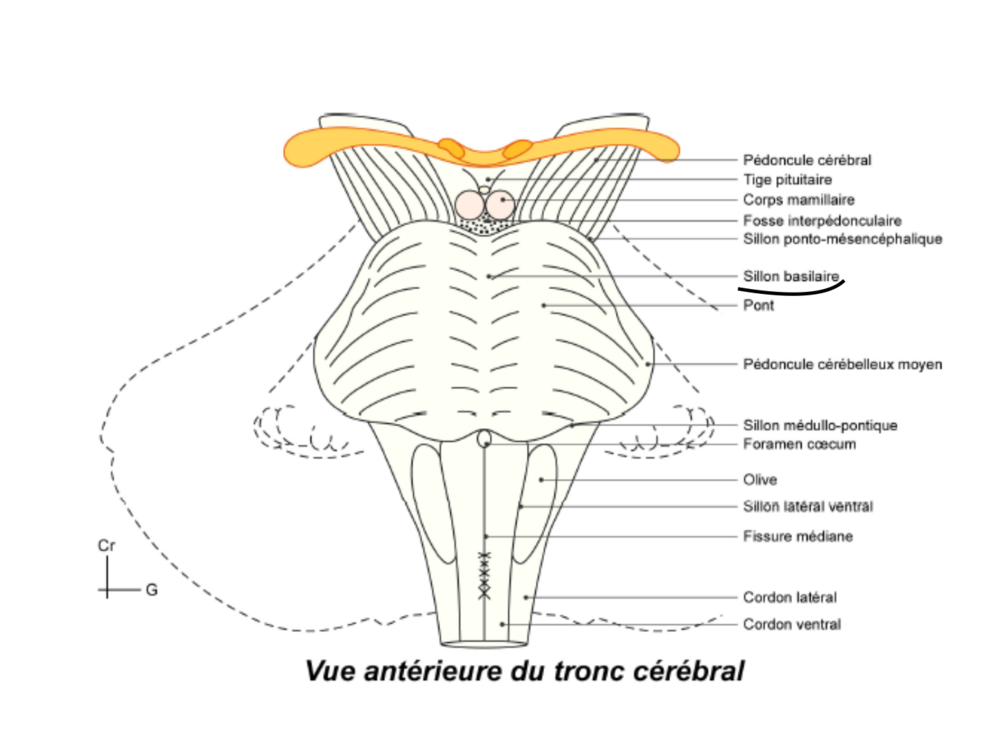 Capture d’écran 2020-12-07 à 23.22.20.png