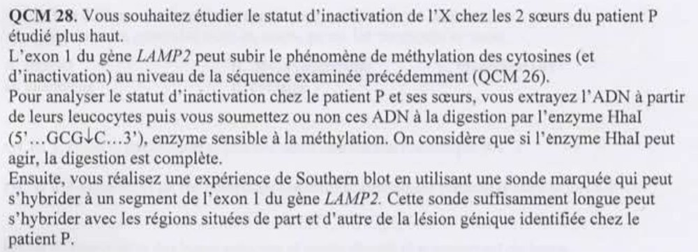 861695666_AnnalesRangueil2019-2020S1.pdf-GoogleChrome_2.thumb.jpg.98f216dc301a68822ef99168003847f9.jpg