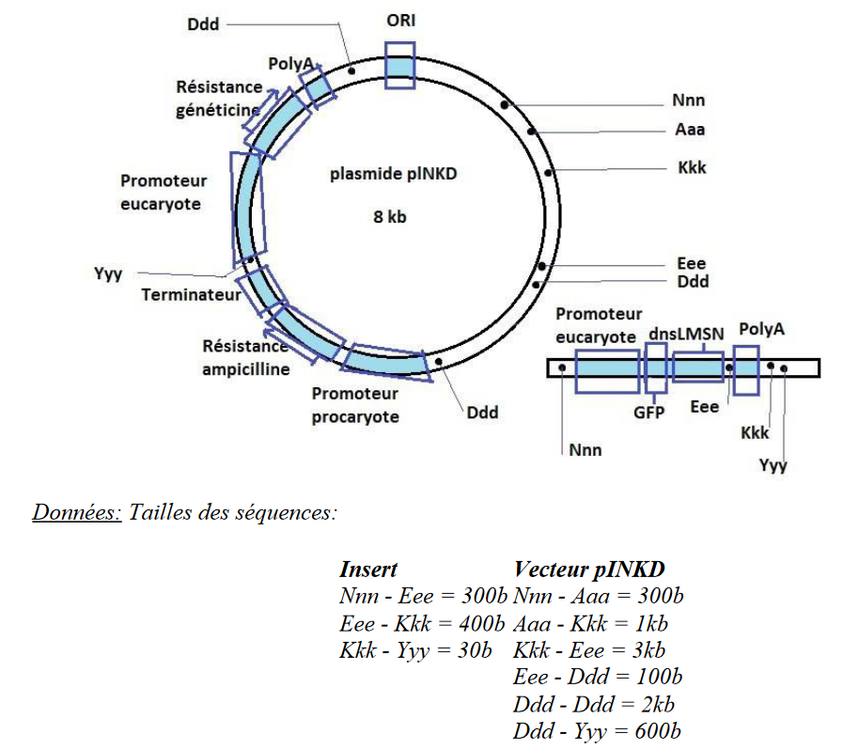image question forum.png