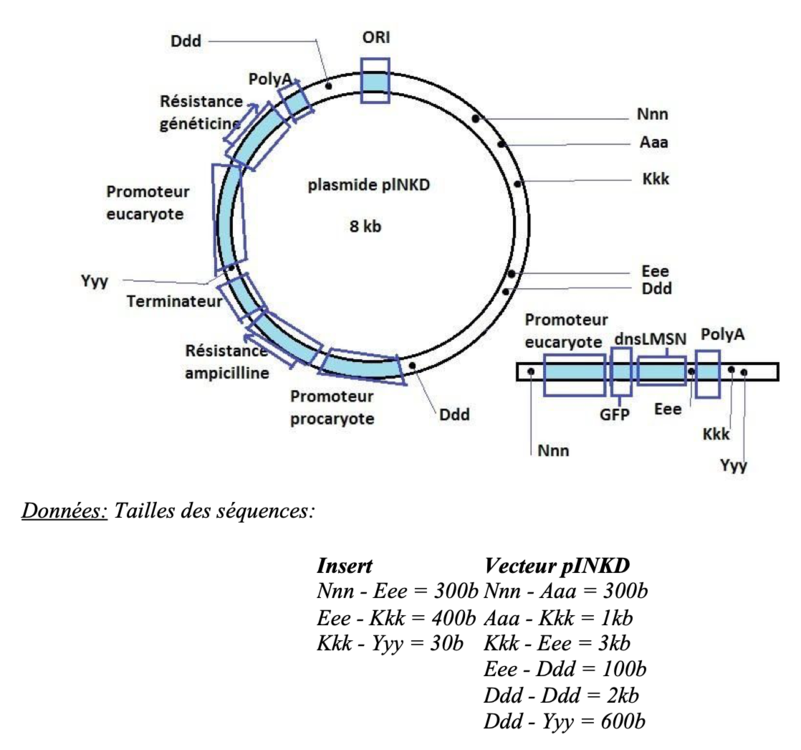 Capture d’écran 2021-01-18 à 11.03.01.png
