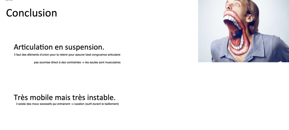 Capture d’écran 2021-01-26 à 19.23.42.png