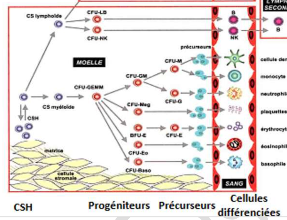 Capture d’écran 2021-01-07 à 14.42.07.png