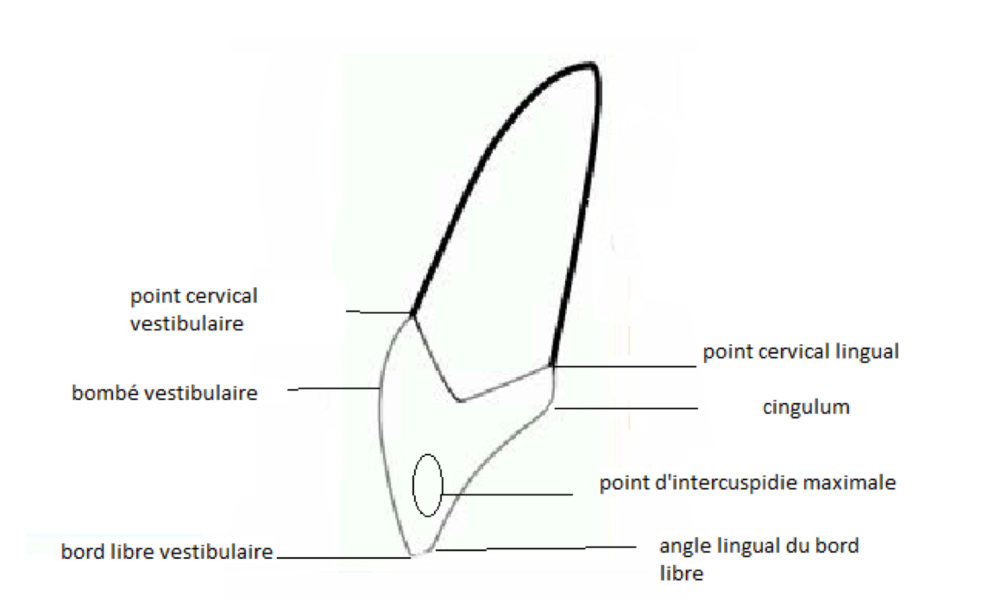 Capture d’écran 2021-02-28 à 17.37.53.png
