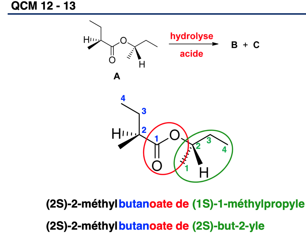 Capture d’écran 2021-03-17 à 07.32.29.png