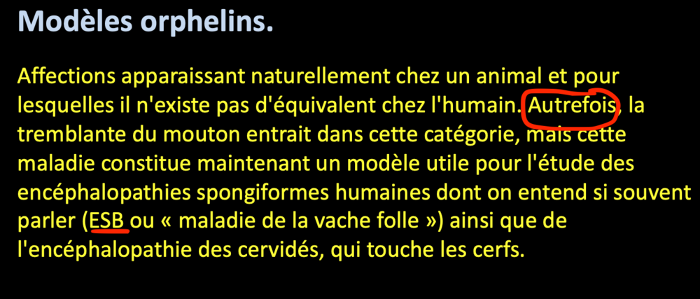 Capture d’écran 2021-03-12 à 15.43.09.png