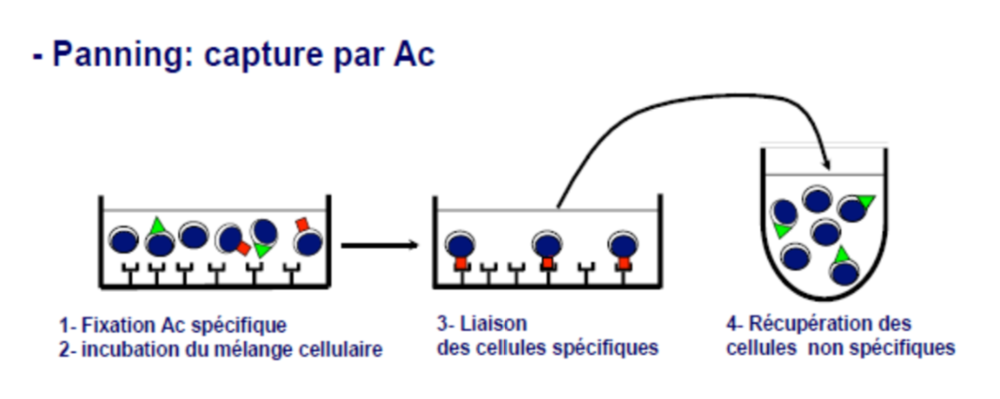 Capture d’écran 2021-04-15 à 11.19.03.png