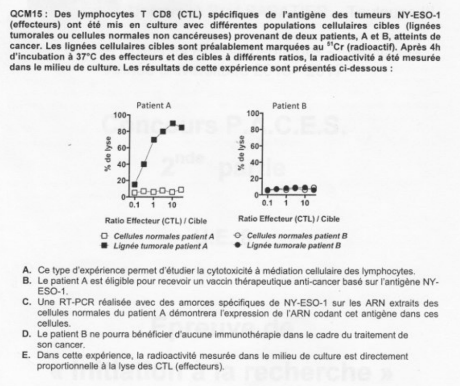 Capture d’écran 2021-04-29 à 12.37.53.png