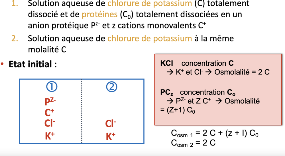 Capture d’écran 2021-09-26 à 16.27.24.png