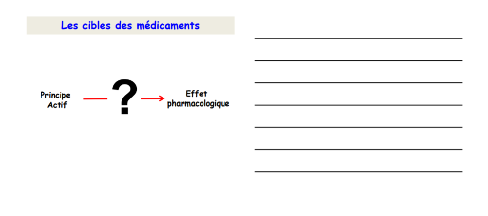 Capture d’écran 2021-09-08 154012.png