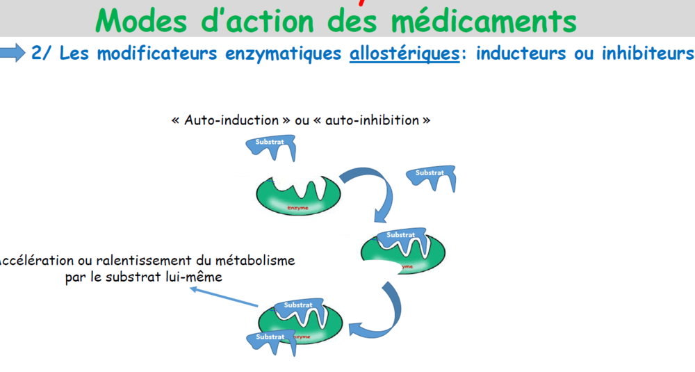 Capture d’écran 2021-09-18 222407.png