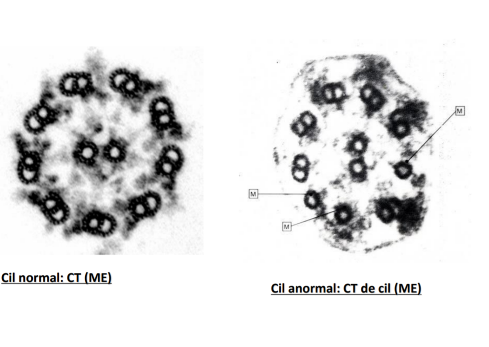 Capture d’écran 2021-09-10 170251.png