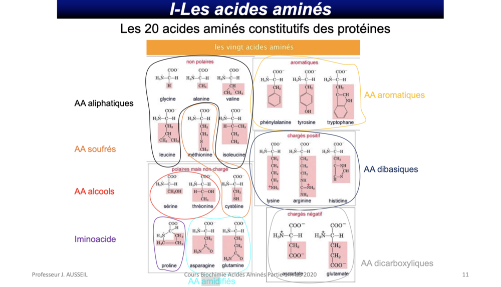 Capture d’écran 2021-10-31 à 12.26.53.png