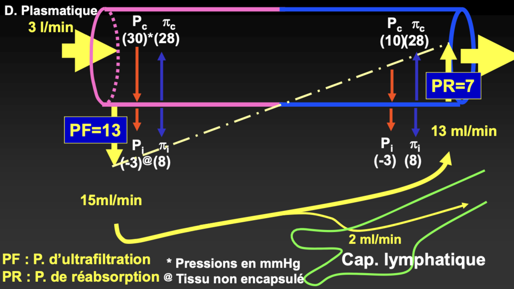 Capture d’écran 2021-10-29 à 19.26.22.png