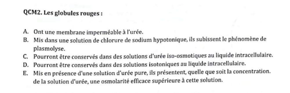 Capture d’écran (53).png