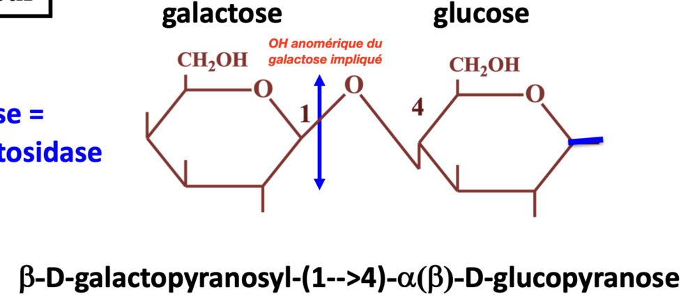 Capture d’écran 2021-10-22 à 21.07.46.png