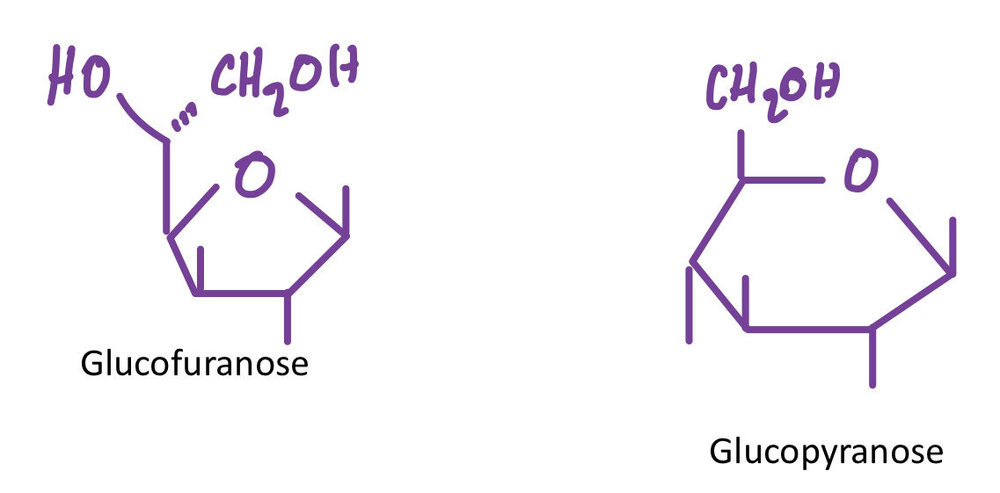 1776031346_pyranosefuranose.thumb.jpg.45755d13a9ec01720bc9264034b503c6.jpg