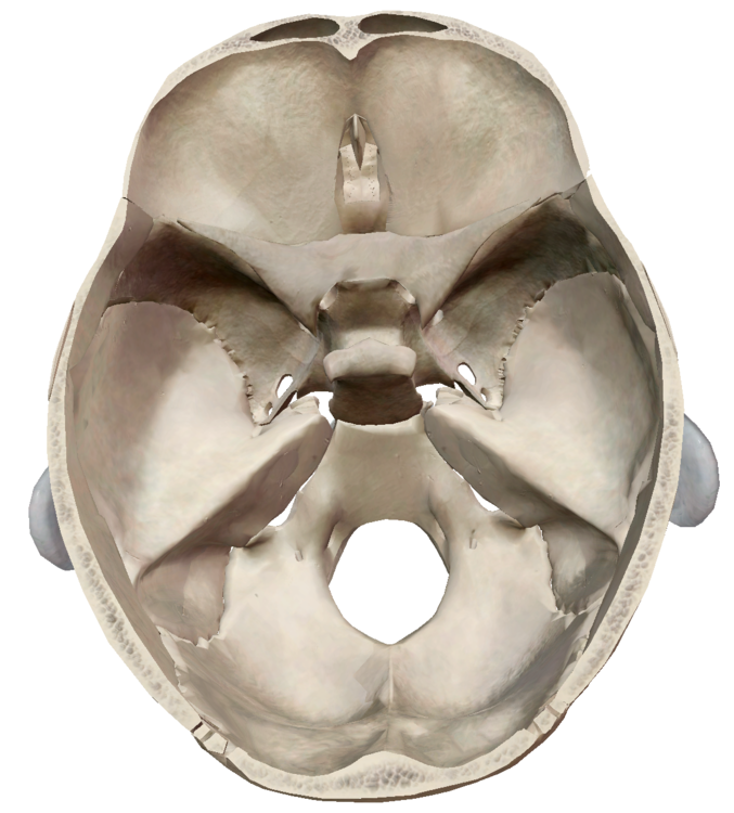 Capture d’écran 2021-10-20 à 13.22.52.png