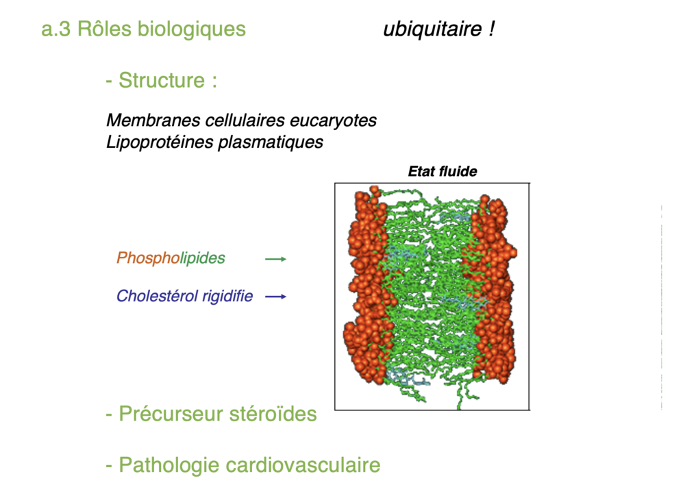 Capture d’écran 2021-10-29 à 18.58.00.png