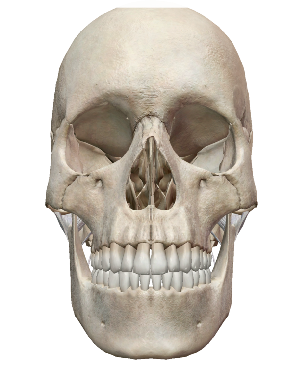 Capture d’écran 2021-10-20 à 13.19.06.png