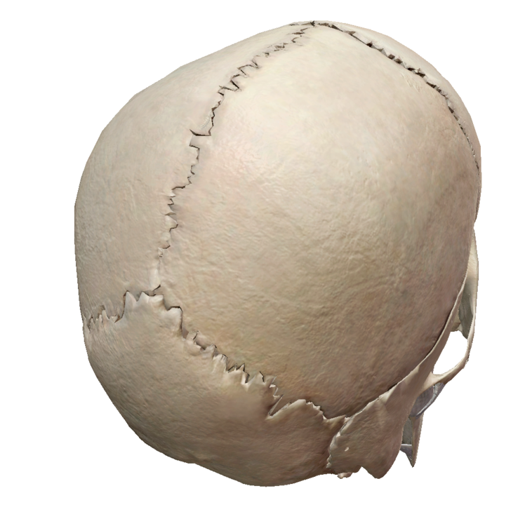 Capture d’écran 2021-10-20 à 13.19.25.png