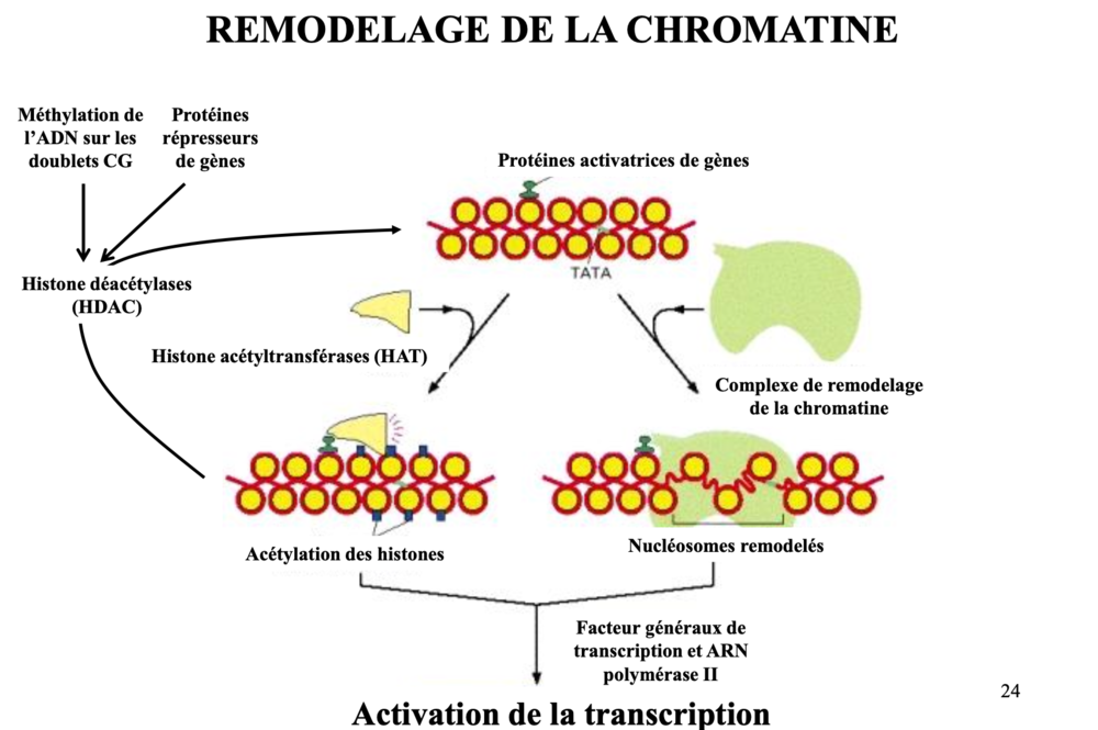 Capture d’écran 2021-10-28 à 20.03.22.png